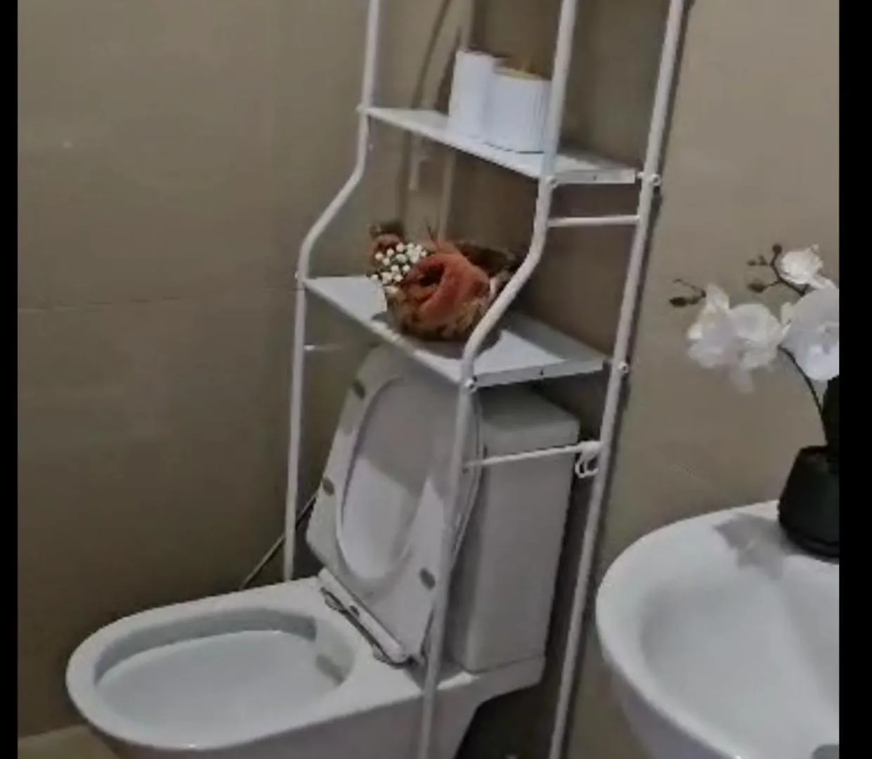 Merveilles De La Teranga Dakar Apartment